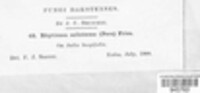 Image Associated With the Occurence
